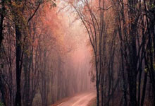 开元棋牌：0-4惨败！曼城主场连续52场不败纪录就此终结.