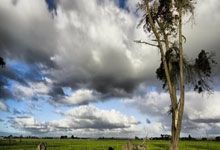 开元棋牌：2025岗什卡滑雪登山邀请赛开赛2025-03-28.