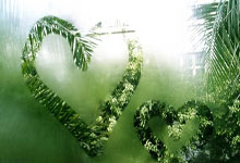 开元棋牌：05后首冠！19岁捷克小将门希克击败偶像德约，斩获大师赛冠军.