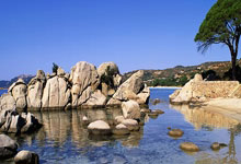 开元棋牌：19岁小将门希克杀入ATP1000迈阿密半决赛，生涯首进大师赛半决赛.